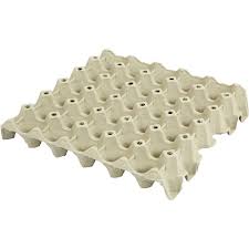 Plastic Egg Trays Chickens