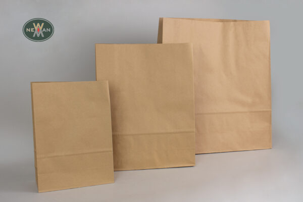 Delivery Paper Bags without handles