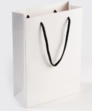 17X24X7 cm White Cardboard Bag