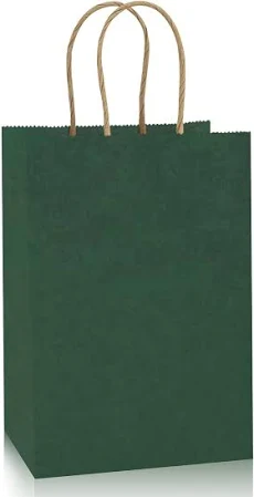 Kraft Paper Bag 24-Pack