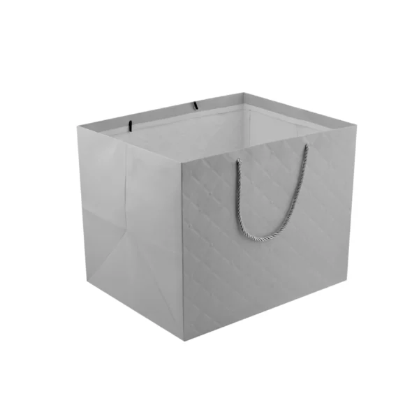 Gift Paper Bag Silver Colour