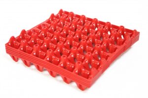 Plastic Egg Trays  Chickens