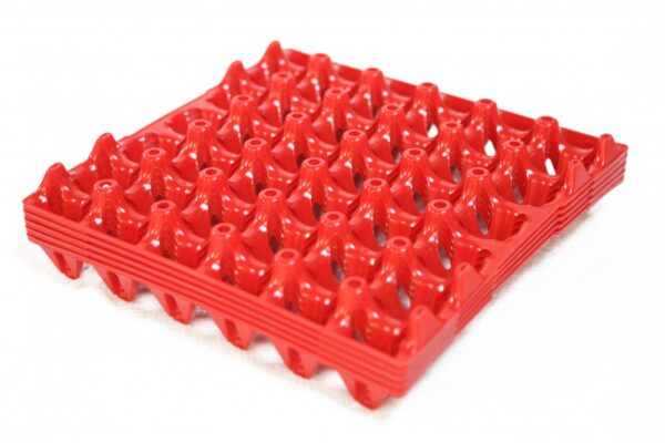 Plastic Egg Trays  Chickens
