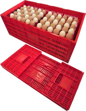 Poultry Egg Transport Crate
