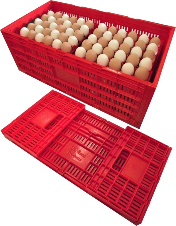 Poultry Egg Transport Crate